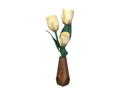 Dřevěný model - Tulipány