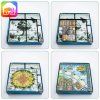 planta nubo insert MitroCZECH organizer BoardGameHolic (104)