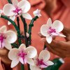 Poškozené - LEGO® Botanicals Orchidej 10311