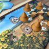 The Dawn of Pangea - Wild Woods  Kickstarter edice