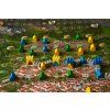 Braincrack Games - Ragusa