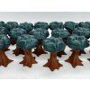 Divoká Amazonie - 3D žetony  (Life of the Amazonia - 3D tokens)